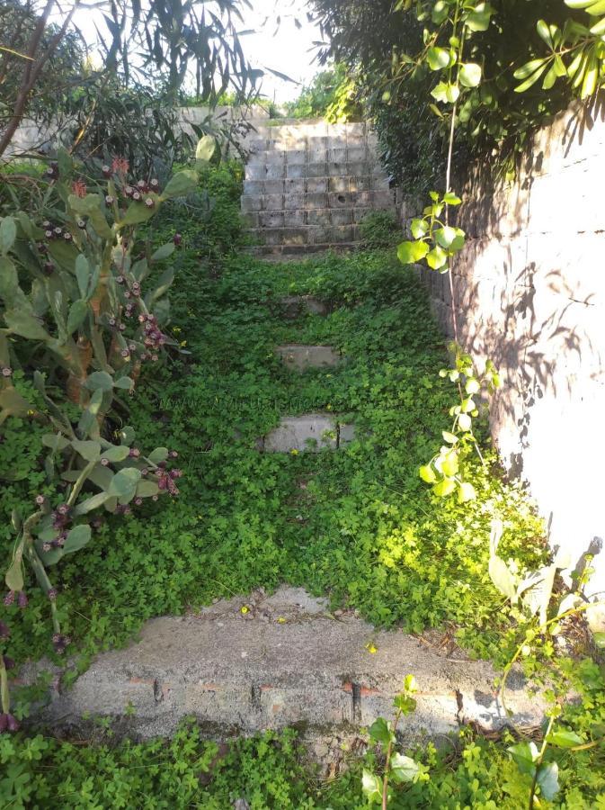 Appartamento Con Giardino Torre Dei Corsari Zewnętrze zdjęcie